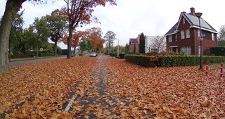 Herfst