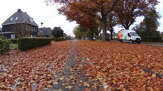 Herfst