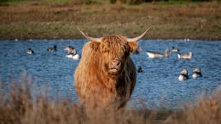 Heerlijke dag om te badderen.