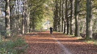 Fietsen in herfstbos
