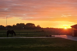 Zonsopkomst