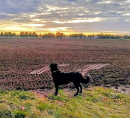 Herfst 