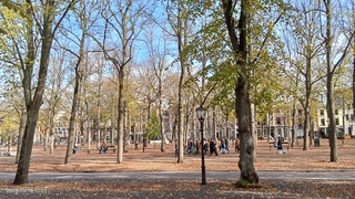 Herfst wandeling 