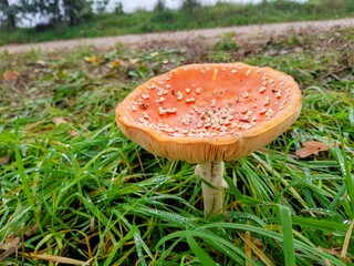Nog even genieten van al het moois 
