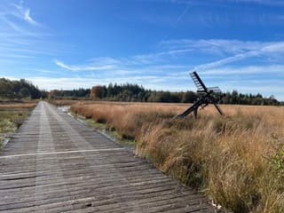 Veenmolentje en vliegtuigstrepen