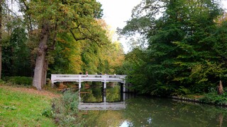 Schitterende herfstkleuren langs de Kromme Rijn 