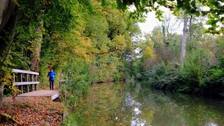 Hardlopen in een schitterende wereld met mooie herfstkleuren 