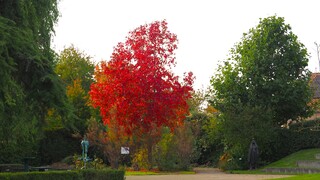 HERFSTKLEUR