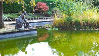 WEERSPIEGELING