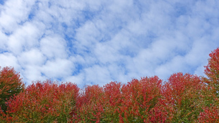 Wolken en herfstkleur.