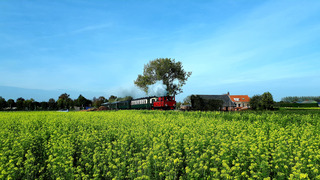 zon blauw sluier 15 gr