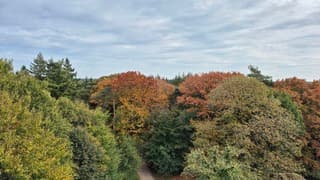 Boven op De Koepel, Lunteren. 