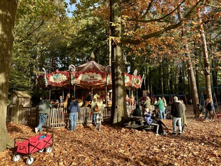 Herfstzonnetje.