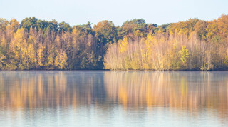 Glad water en mooie herfst kleuren