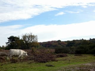 En toen brak de lucht 