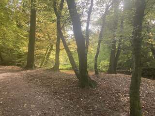 Een prachtige herfst dag op deze zonnige en wat wolken zondag hier de weerfoto in Kerkrade
