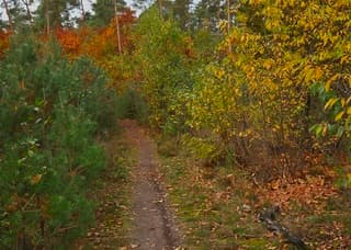 Bewolkt en wat miezerregen