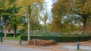 Ze vallen, dwarrelen en waaien in bosjes van de bomen..