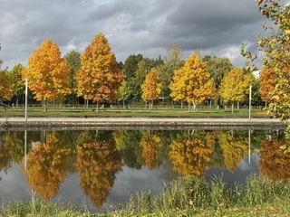 Prachtige herfstkleuren in spiegelbeeld 
