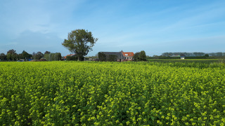 af en toe zon blauw wolken