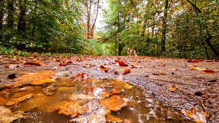 Herfst