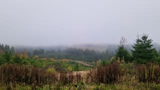 Nevelig herfstweer in Sauerland 