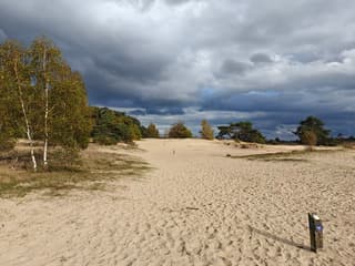 Genieten van een herfstwandeling 