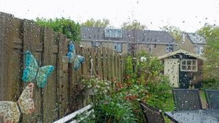 Regenachtige herfstdag.