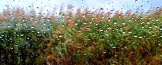 Raindrops keep falling on my head...