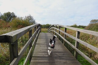 tussen de buien door