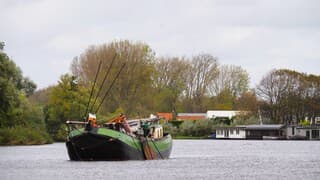 BOMEN OM VOORUIT TE KOMEN- Strontrace