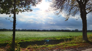 Zonlicht over de akkers