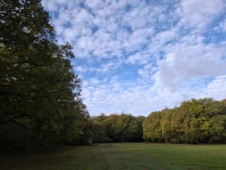 Stilte voor de storm