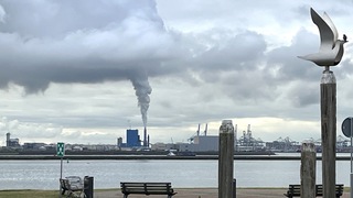 Rook rechtomhoog