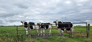 Dichte bewolking boven de Groninger landerijen vanmiddag 
