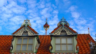 SCHAPENWOLKJES