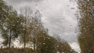 Regenbui 