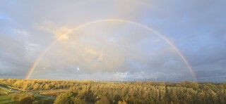 Regenboog 