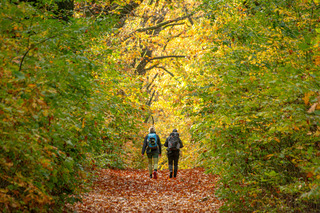 Stilte voor de storm