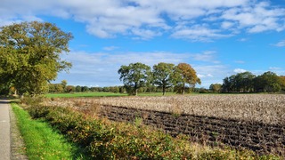 Stilte voor de storm