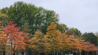 Herfstkleuren 