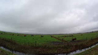 Regenachtig Breda