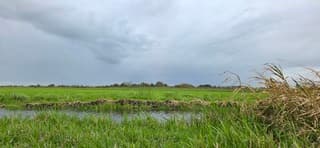 Regenwolken en regen boven de provincie Groningen 