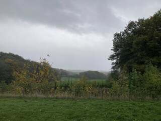 Storm benjamin raast over Limburg heen