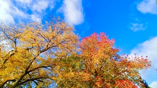 Zonnig en met mooie herfstkleuren 