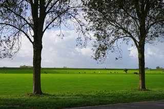 Opklaringen