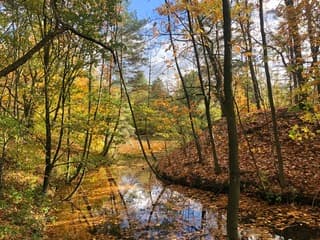 Waanzinnige herfstkleuren
