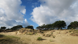 Zandverstuiving in de duinen