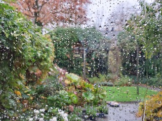 Regen