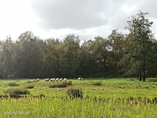 Zon regen harde wind